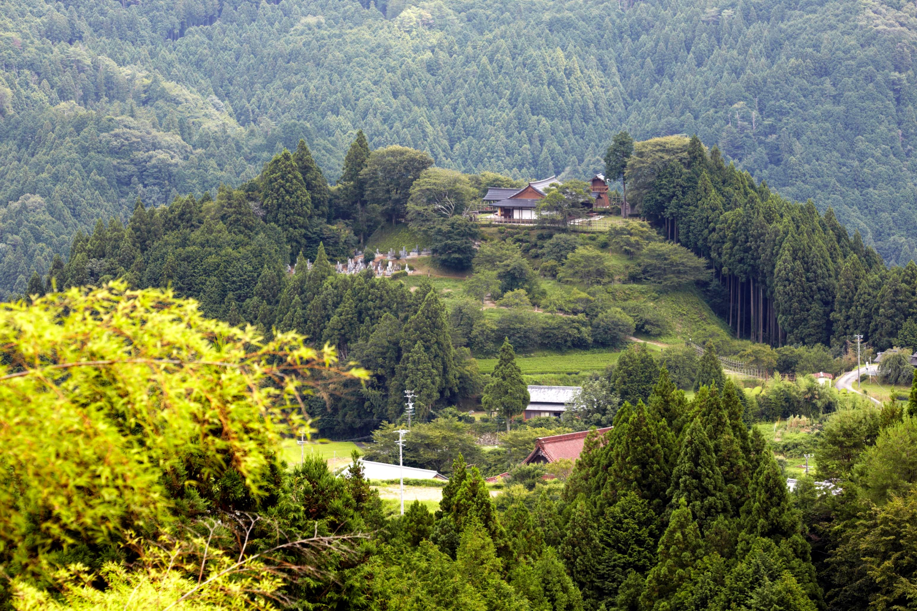 田峯城