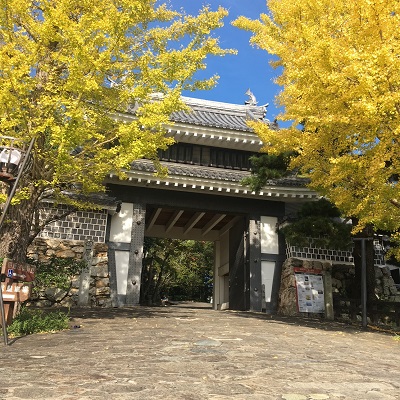 秋の桜門