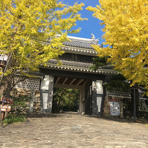 田原市博物館　秋の桜門